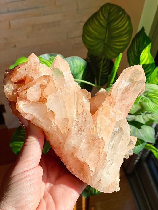 Himalayan Quartz