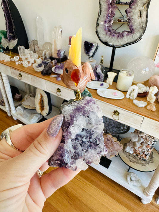 Amethyst cluster with bird 3